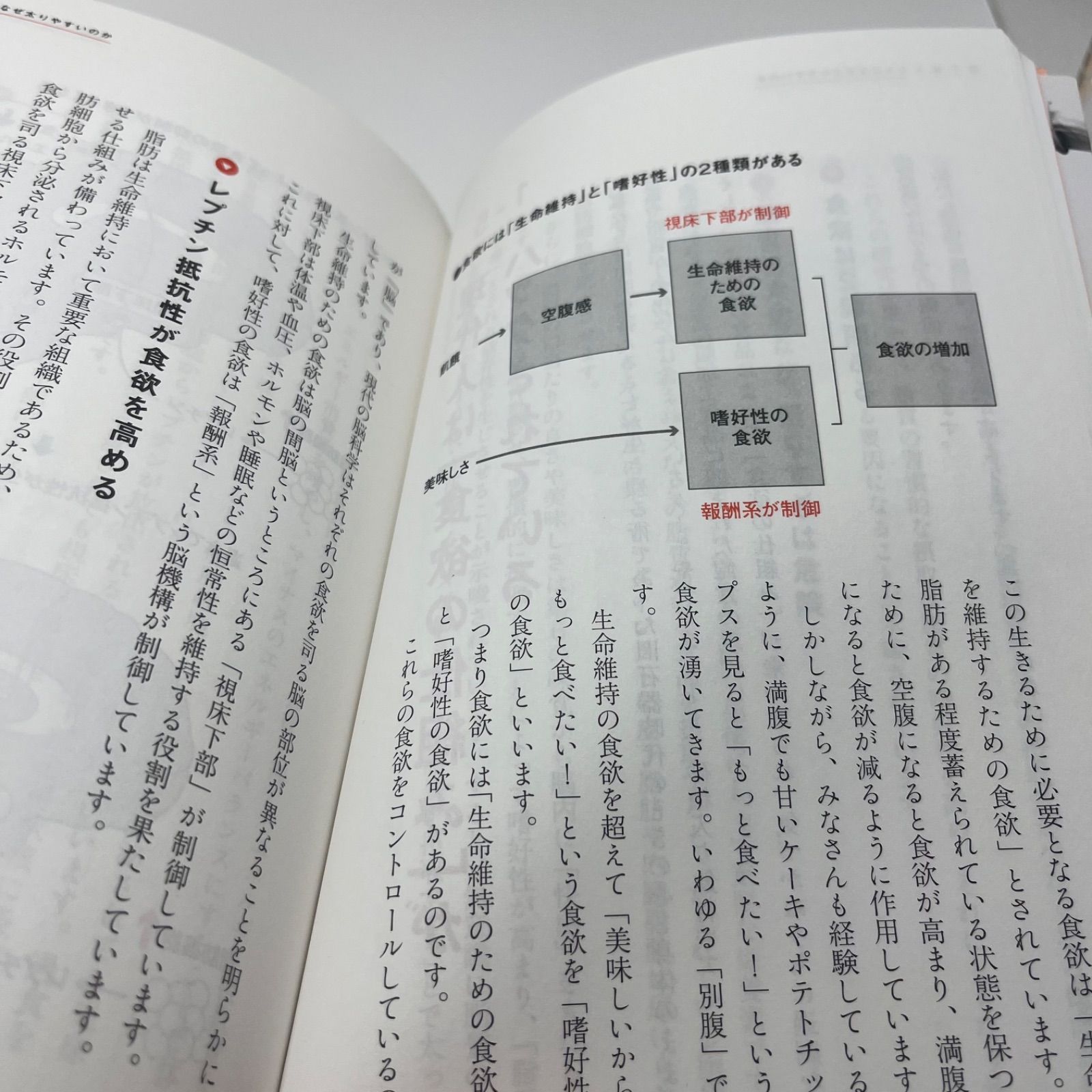 科学的に正しいダイエット 最高の教科書 - メルカリ