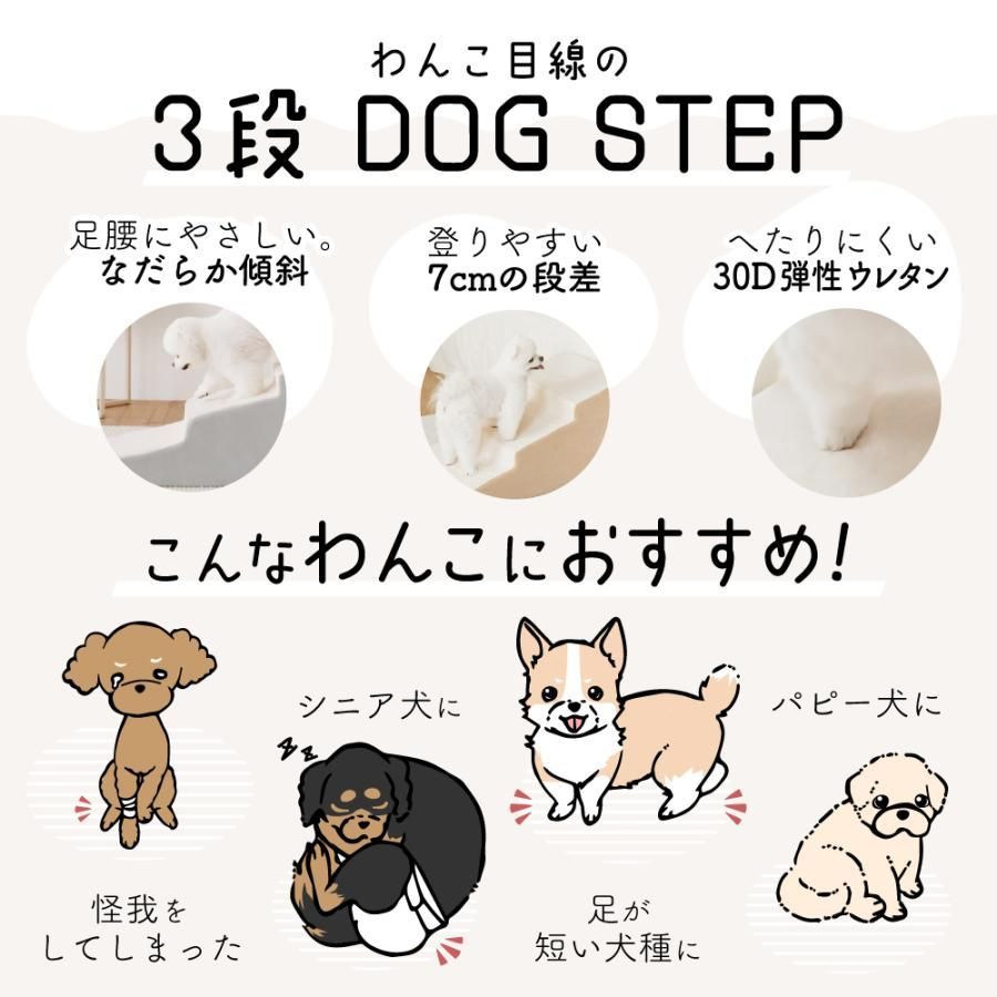 ステップ