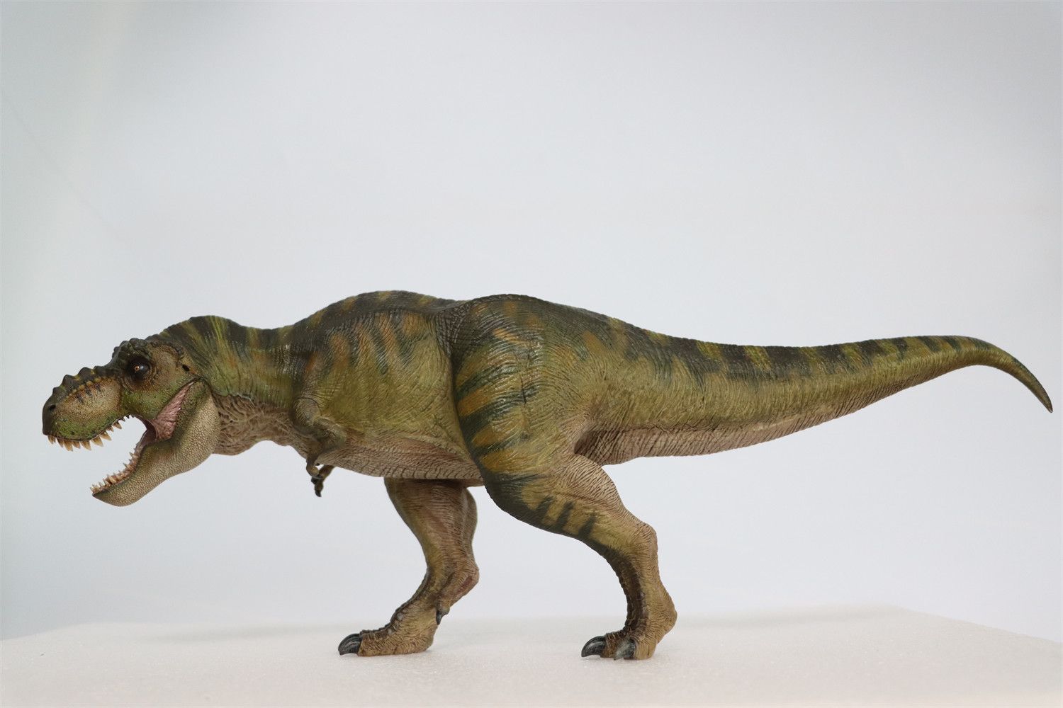 Nanmu 本心楠改 1/35 サイズ ティラノサウルス レックス King T