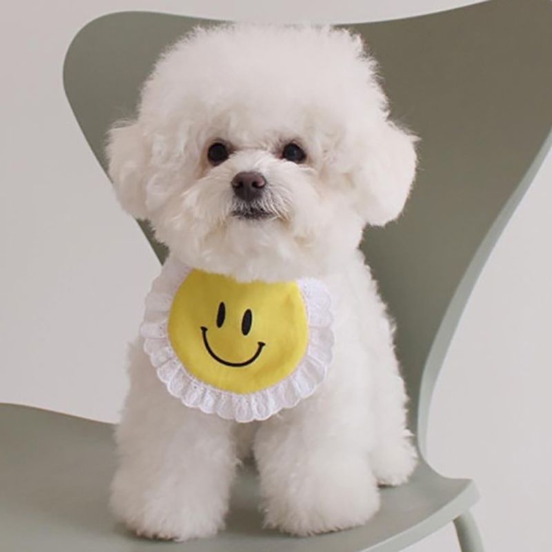 送料込【犬服】にこちゃん スタイ かわいい 犬服 バースデイ