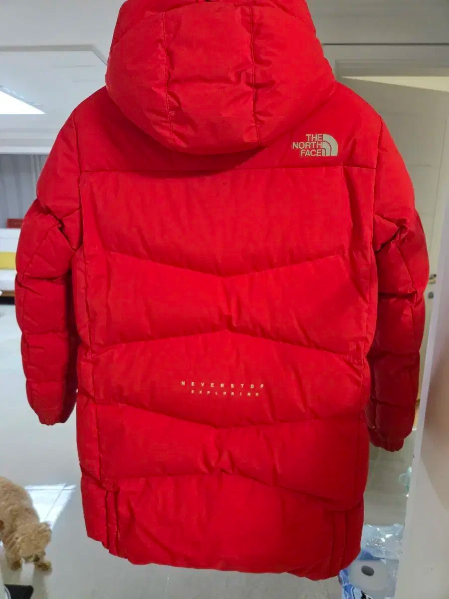 THE NORTH FACE ザノースフェイス キッズ 150 ダウン THE NORTH FACE