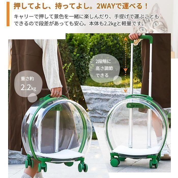 伸縮ハンドル クリア