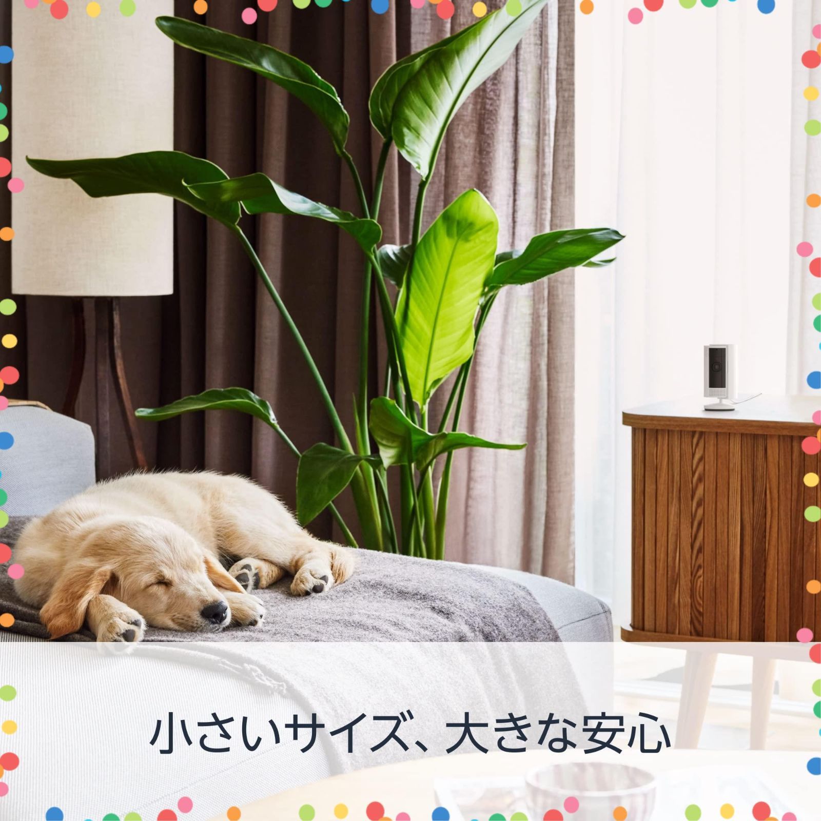 Indoor インドアカム