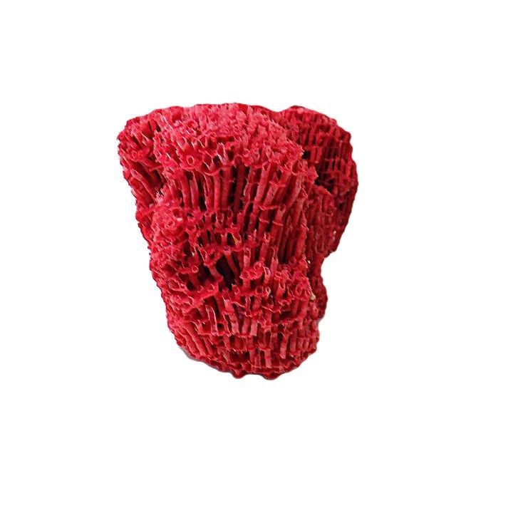 サンゴ 置物 サンゴ礁 珊瑚礁 パイプオルガン珊瑚 珊瑚 サンゴ 赤珊瑚