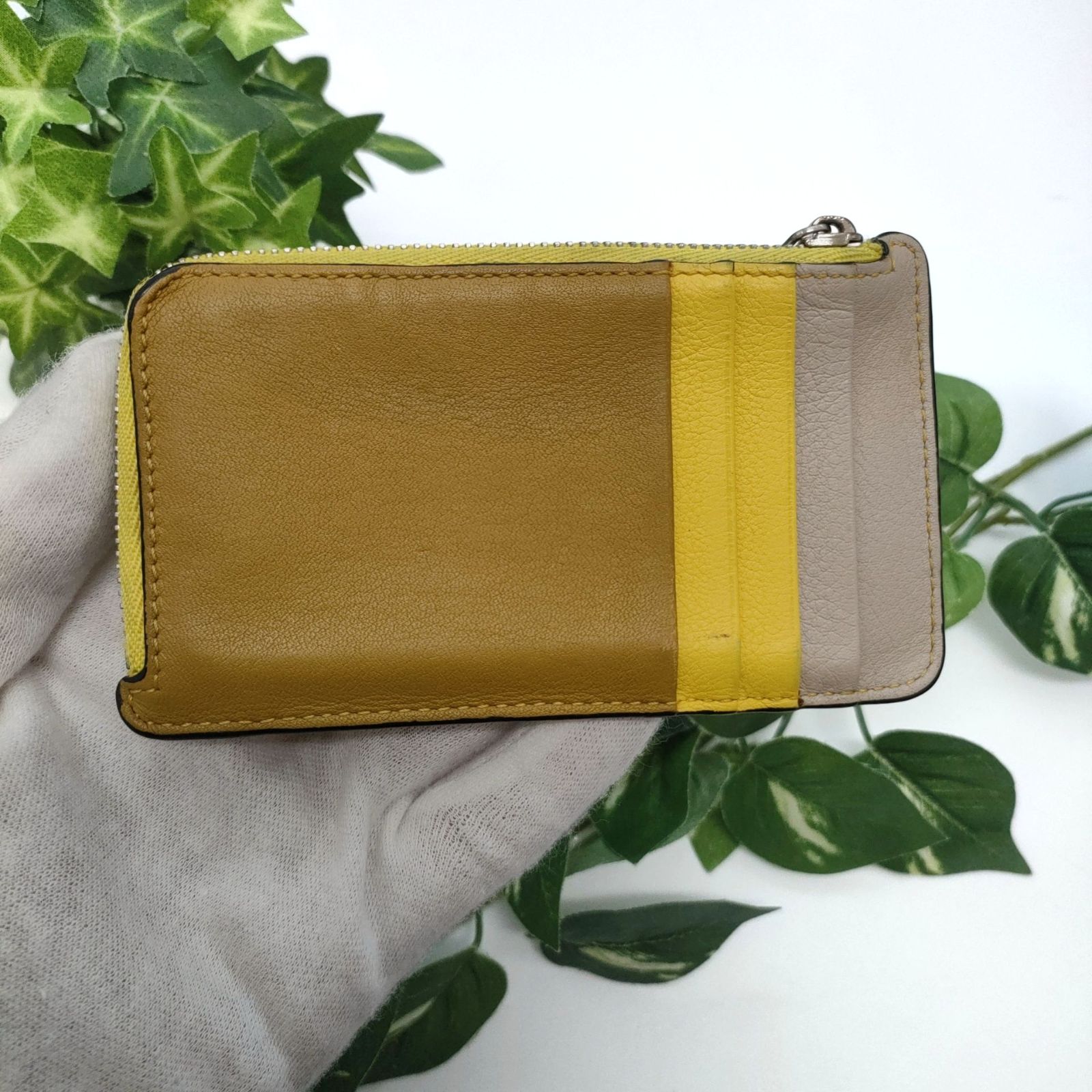 ロエベ フラグメントケース