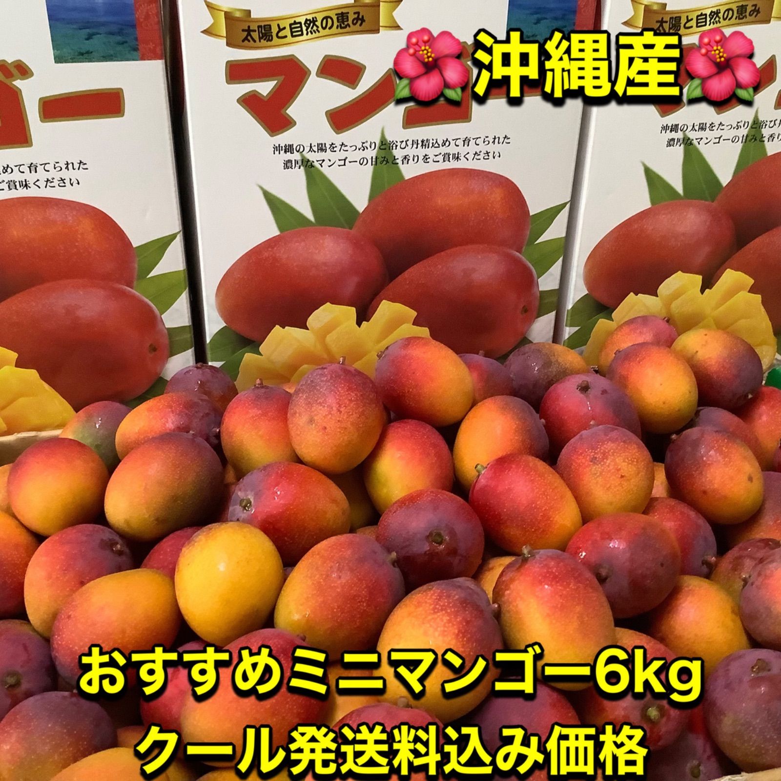沖縄産ミニマンゴー約6kg(クール発送) 沖縄産おすすめミニマンゴー【約6kg】クール発送 - メルカリ