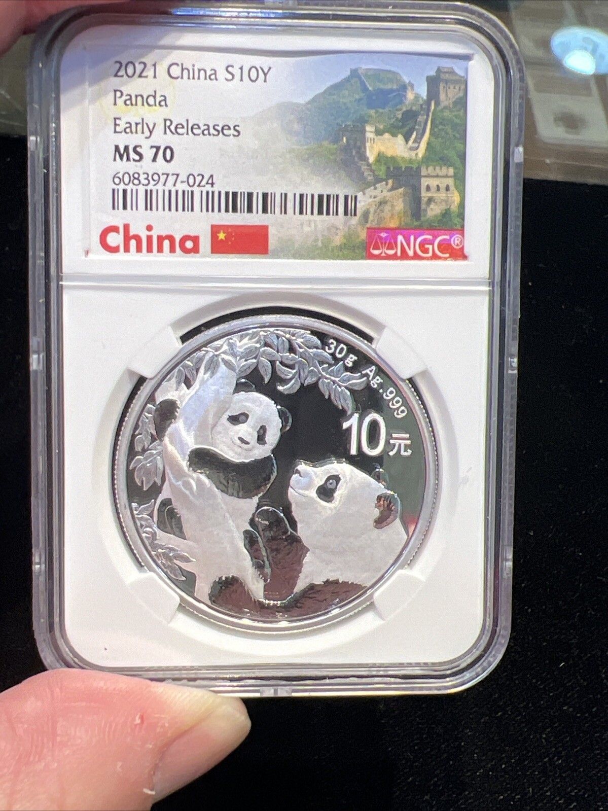 2021 China Panda 30g Silver Coin NGC MS70 Great Wall Early Release
