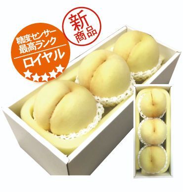 【送料無料】岡山産ロイヤル清水白桃3玉