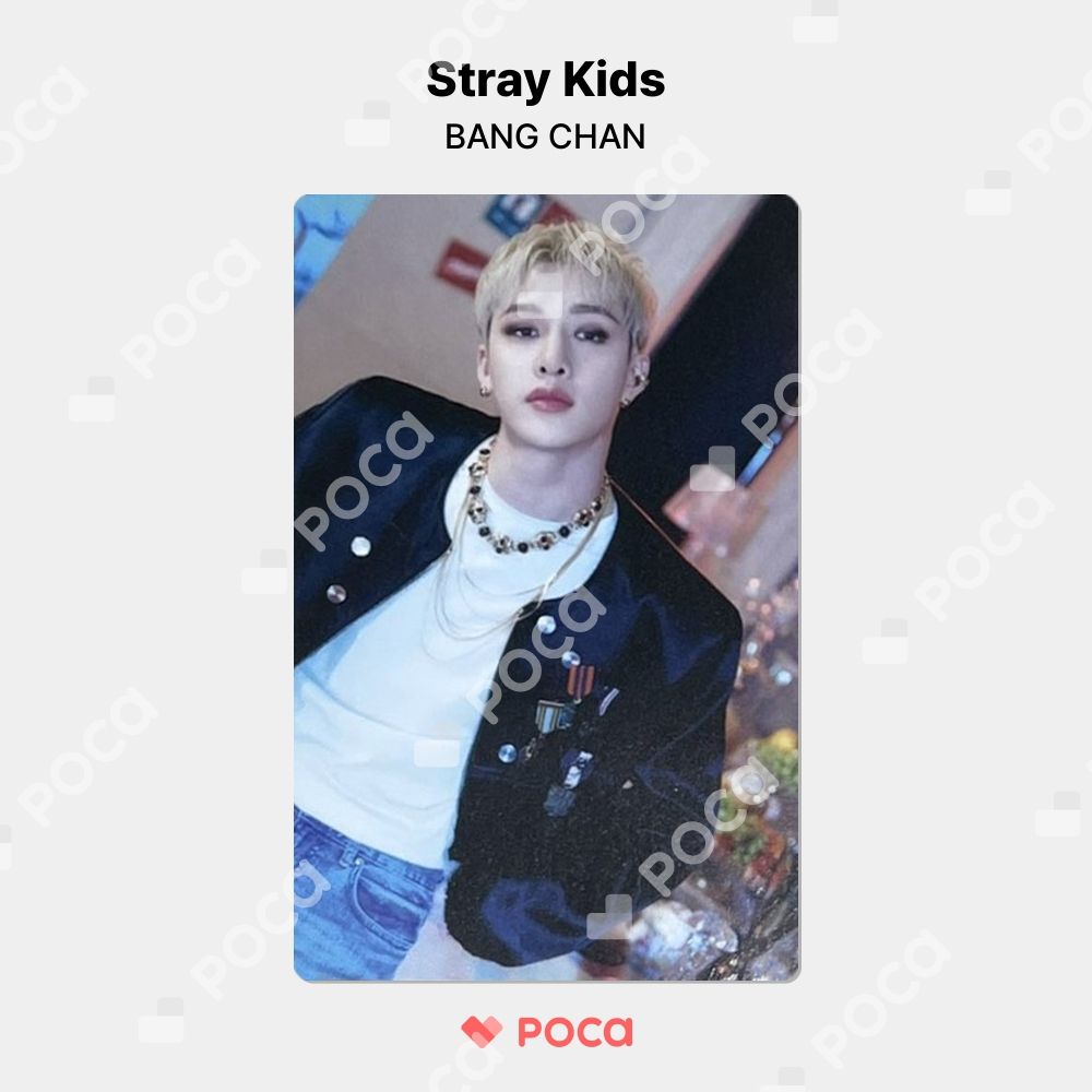 straykids バンチャン スキズ トレカ STRAY KIDS x SKZOO POP-UP