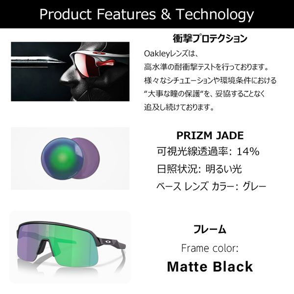 BLACK PRIZM