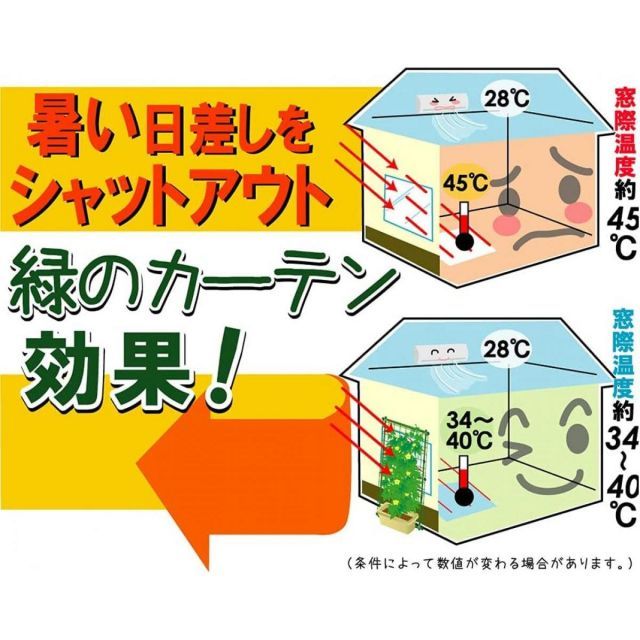 DAIM 第一ビニール 緑のカーテン 立掛タイプ 幅80cm×高さ2.4m 6個セット 園芸支柱 家庭菜園 グリーンカーテン へちま 朝顔 きゅうり YUZUMIYA_COM