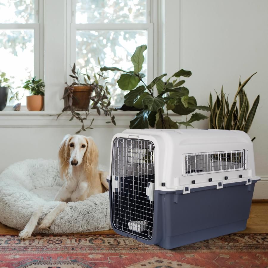 XXLサイズ プラスチック キャスター付き ペットキャリー 犬用 ハードケース キャリーバッグ キャリーケース アイリスオーヤマ 小型犬 中