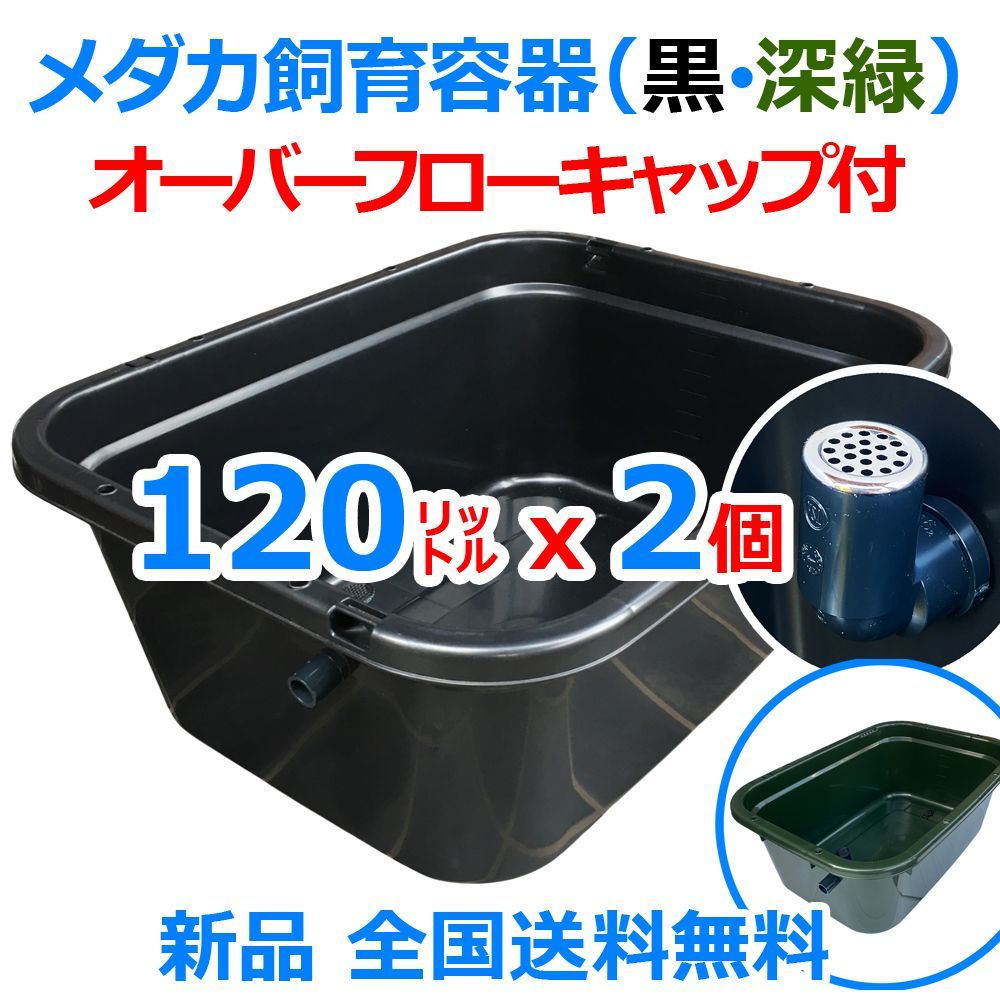 新タイプ メダカ飼育ケース120㍑x2個 黒 深緑あり オーバーフロー対策付き メダカ飼育容器 金魚屋外飼育容器 水草 ビオトープ 大雨対策 タライ プラ舟 五色アクア