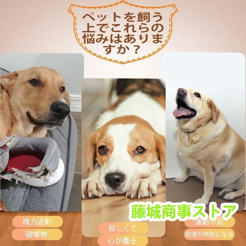ボール 投げ