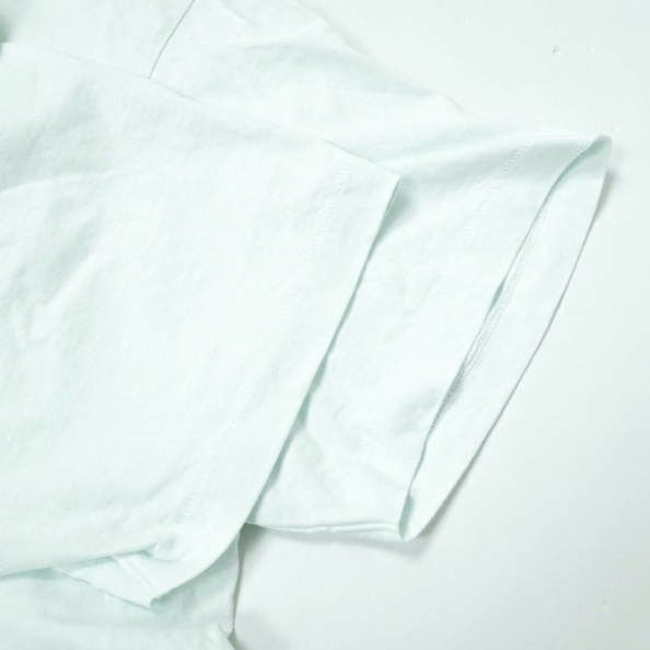 GALLERY DEPT. ギャラリーデプト 22SS アメリカ製 VINTAGE SOUVENIR TEE ロゴプリントTシャツ VST-1012  L BABY BLUE VST 半袖 MADE IN USA トップス g12168 - メルカリ