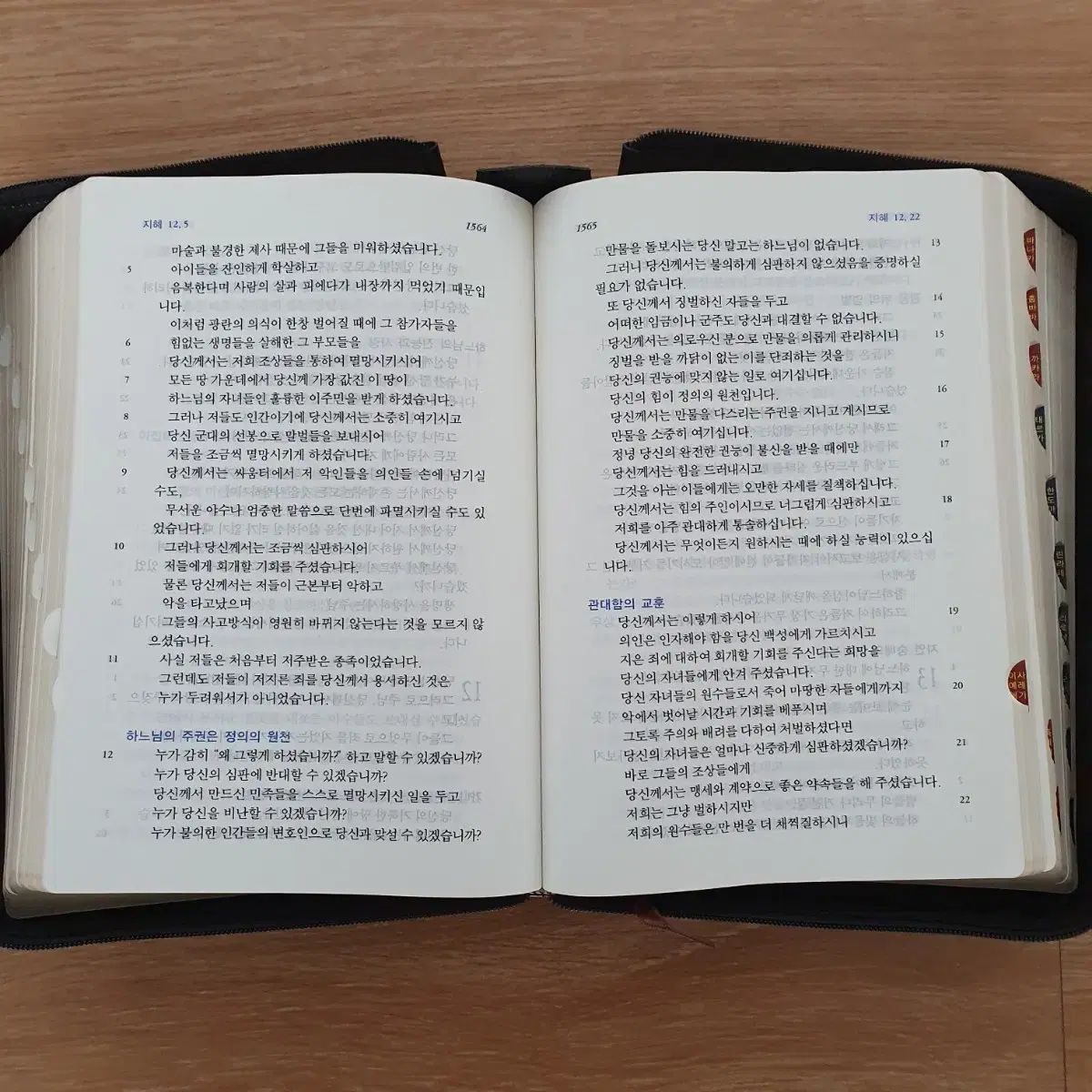 聖書 カトリック