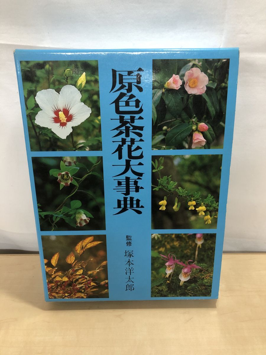 原色茶花大事典 淡交社 - メルカリ