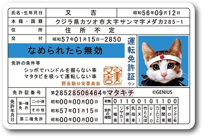 なめ猫 なめんなよ 免許証 又吉 キャラクターステッカー 懐かし