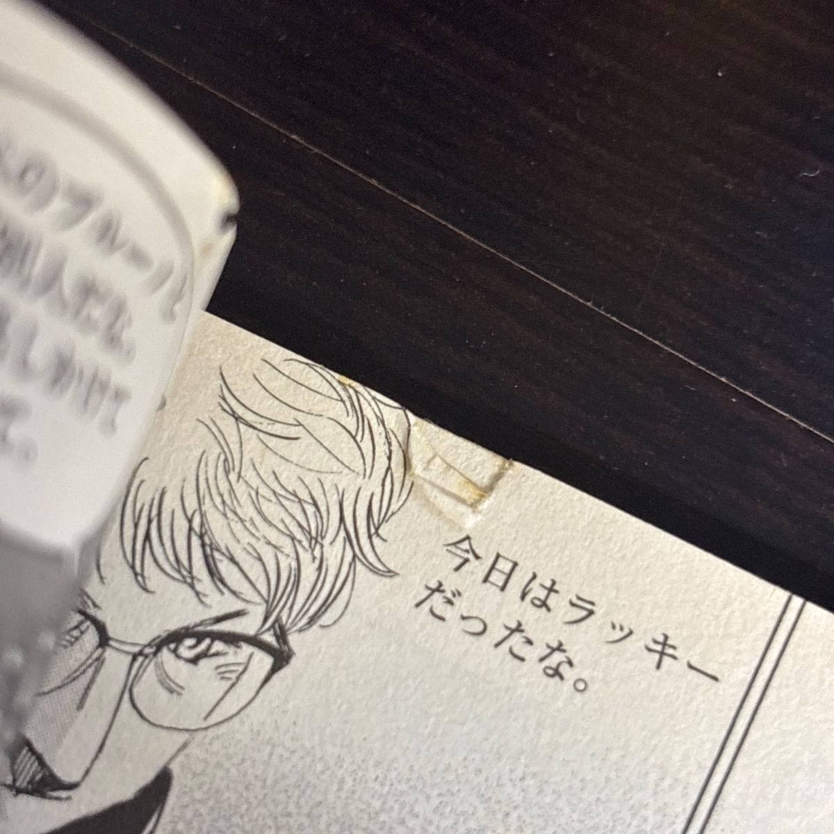 My Pet Companion 8フィート*4フィート*5フィート 犬小屋 屋外