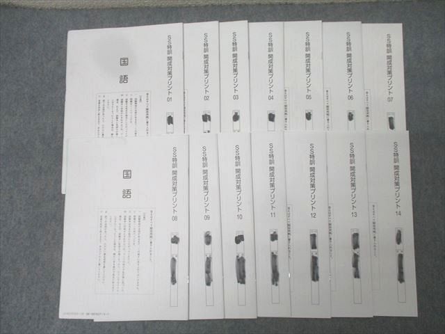 SAPIX サピックス 小6 国語 開成コース SS特訓 開成対策プリント01〜14 テスト全14回通年フルセット 2024 018S2D SAPIX サピックス 小6 国語 開成コース SS特訓 開成対策プリント
