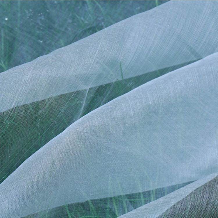 菜園 野菜