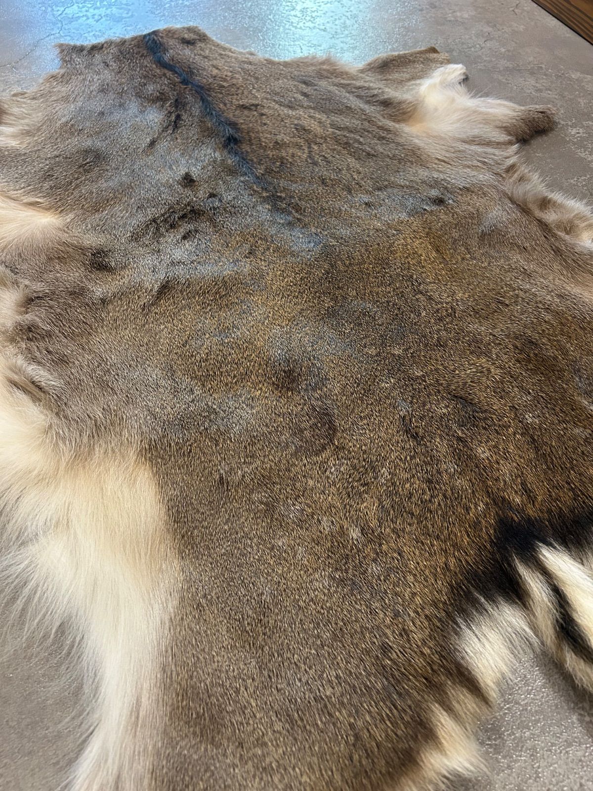 鹿 毛皮 ラグ 敷物 マット 鹿 の 毛皮