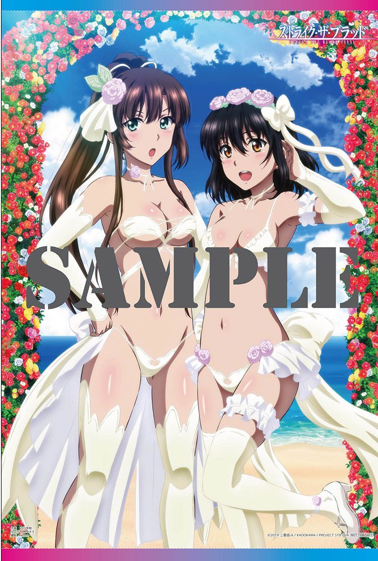 ストライク・ザ・ブラッドFINAL OVA 全巻購入特典 ソフマップ限定