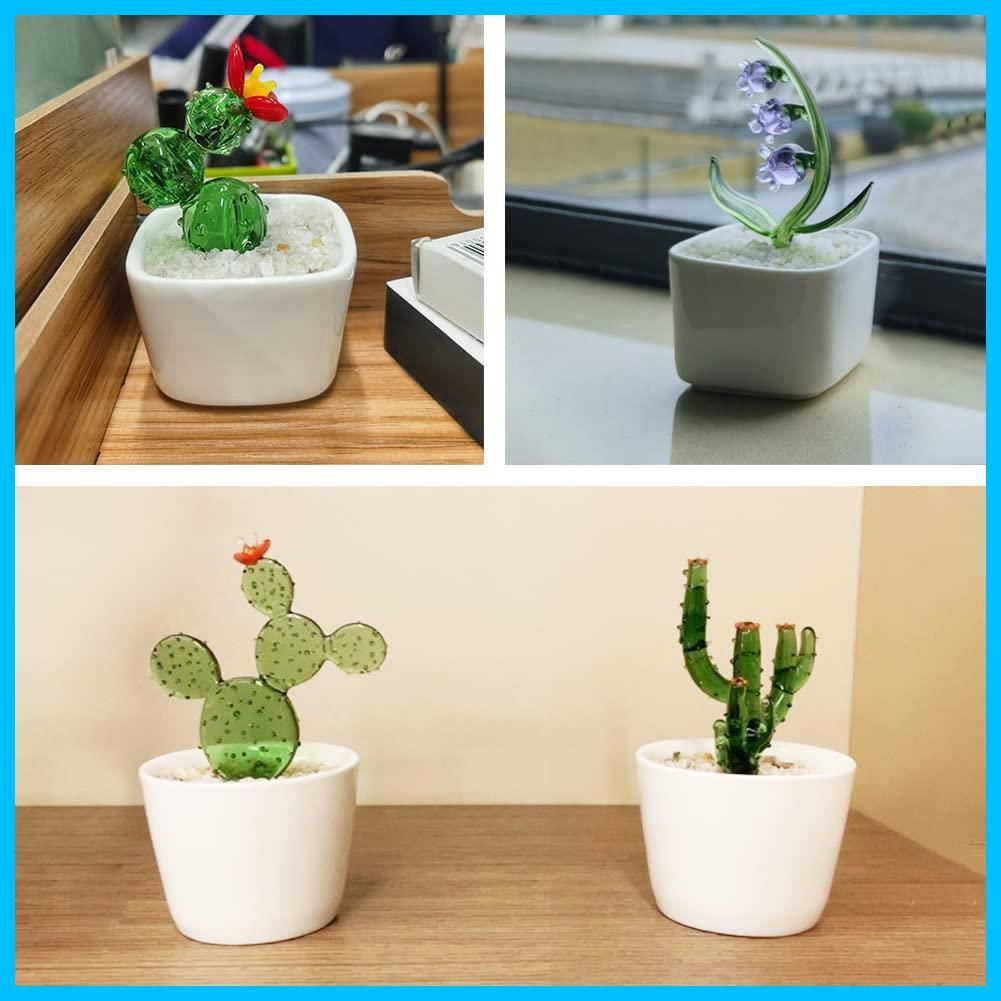 柱型のサボテン