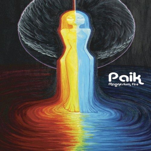 その他 Magnesium Fire [DVD] Magnesium Fire [DVD] その他