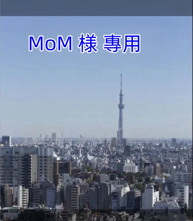 MoM 様 專用