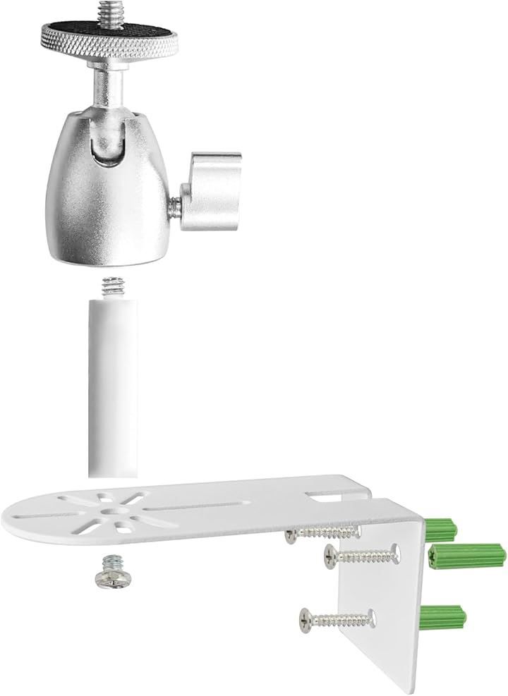 希少 大判リトグラフ ダン・パルトゥシュ 「シクラメン」