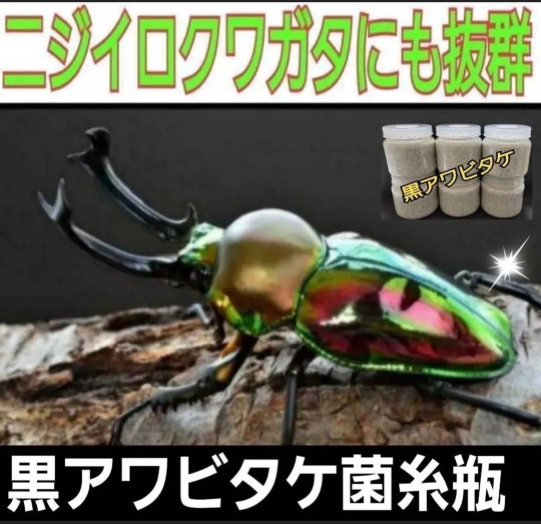 オオクワガタ