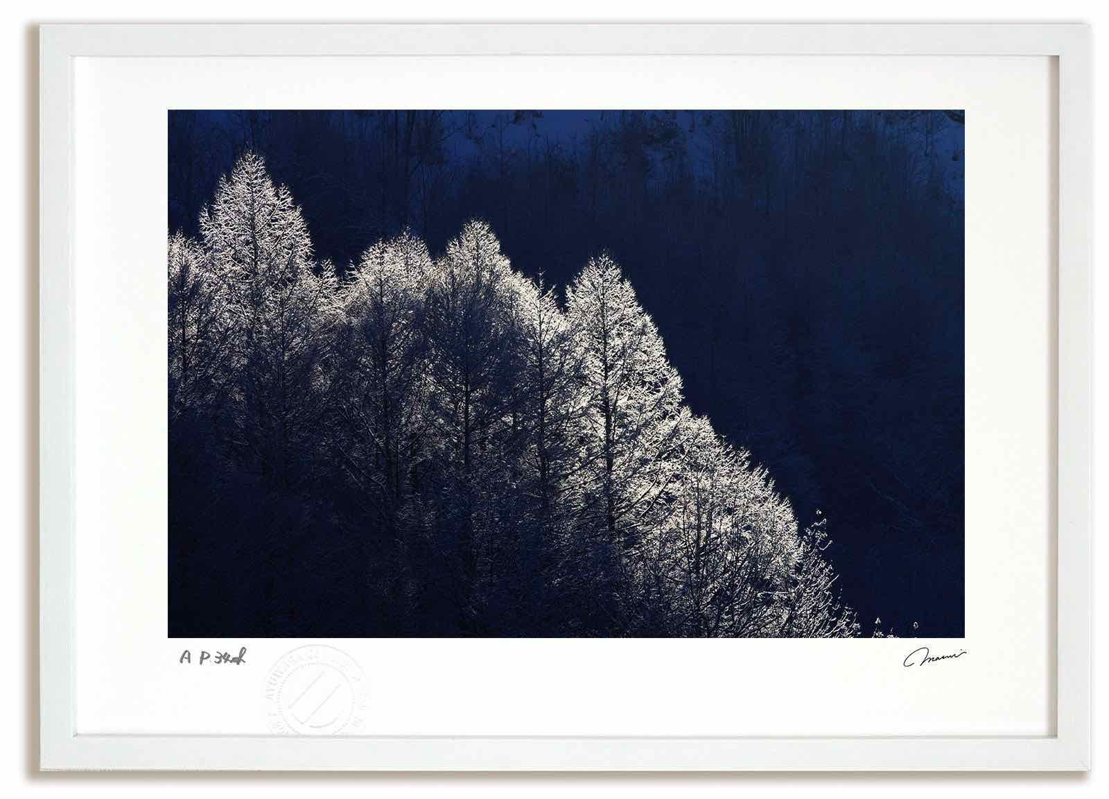 アートフォト 絵画 壁掛け 霧氷の小道 富良野 美瑛 高橋真澄