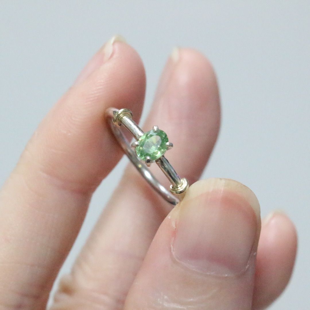 テリ艶⭐︎ナミビア産デマントイドガーネットのK10小ワッカシルバーリング約9号 テリ艶⭐︎ナミビア産デマントイドガーネットのK10小ワッカシルバー