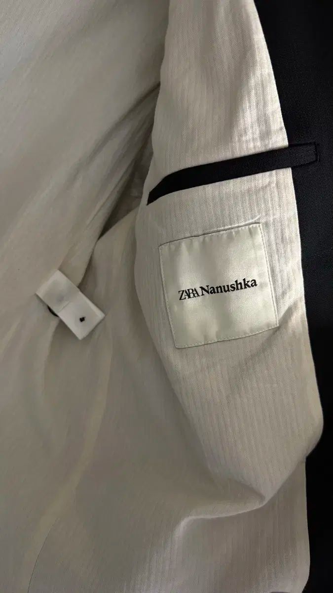 x ナヌシカ