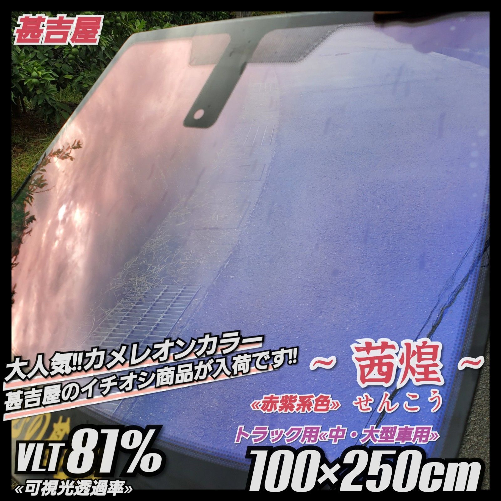 新品》茜煌せんこう/カメレオンティント/赤紫系/縦100×横250㎝ - “ふぃ