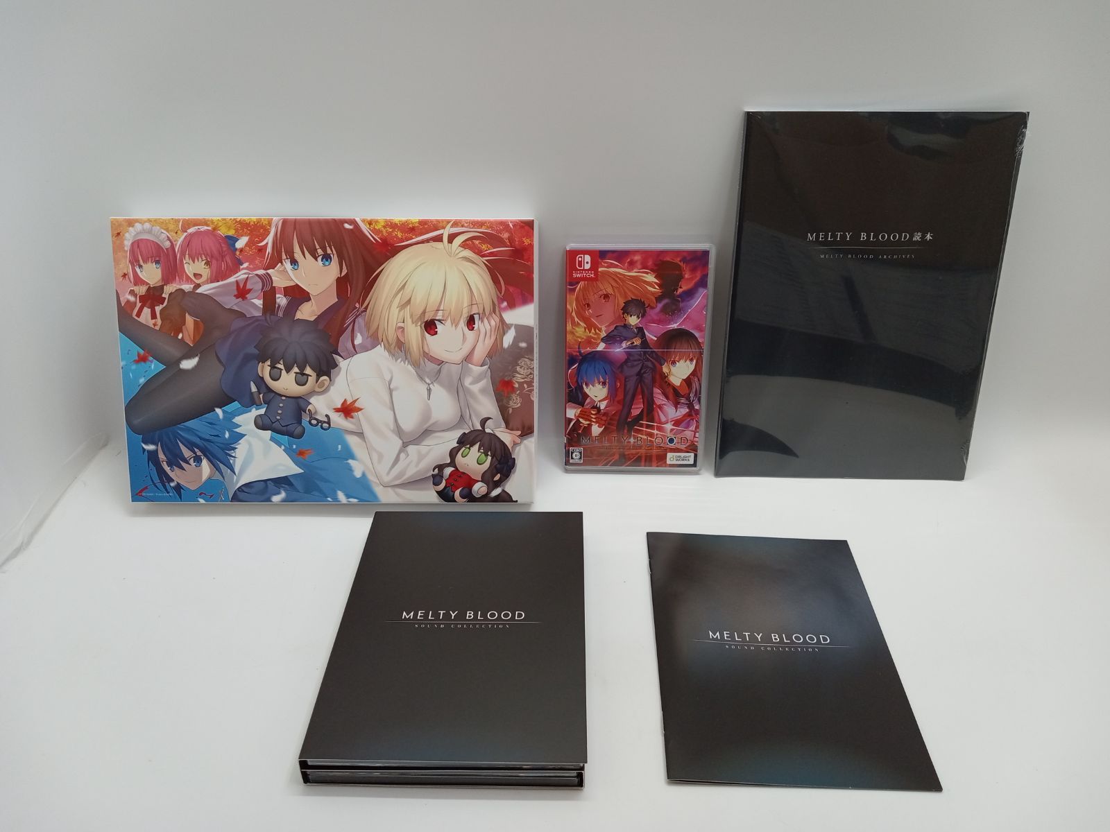 SWITCHソフト MELTY BLOOD TYPE LUMINA メルティブラッド タイプルミナ 5-2-1GG0152-231