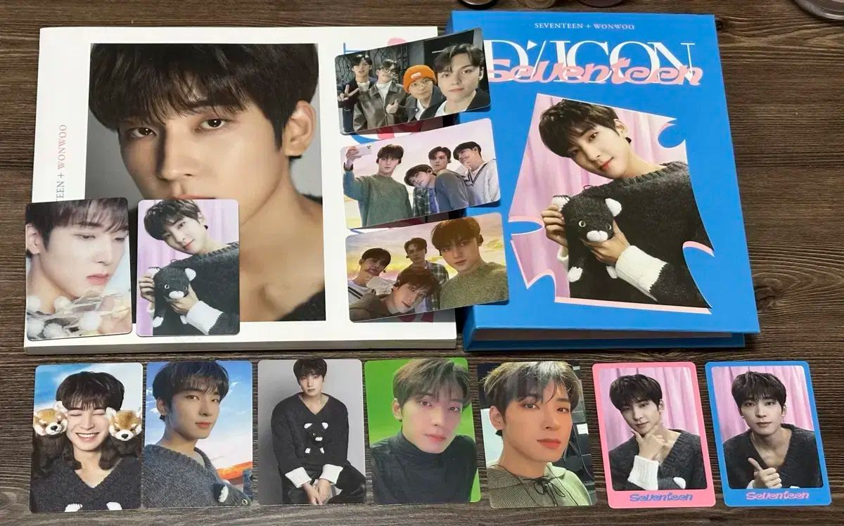 SEVENTEEN DICON DFESTA ミニ ウォヌ バージョン フルセット SEVENTEEN