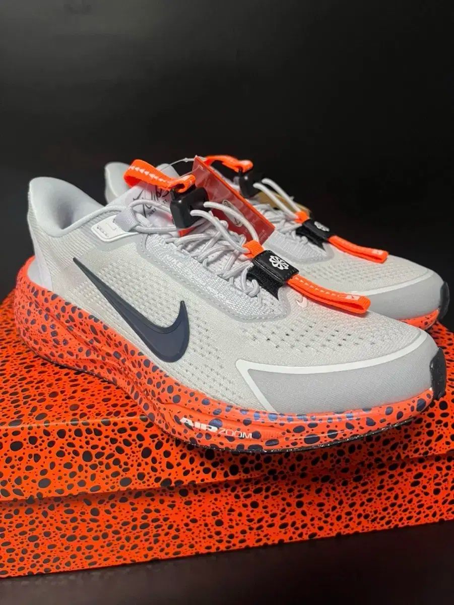 NIKE ナイキ W ペガサス イージーオン 245mm