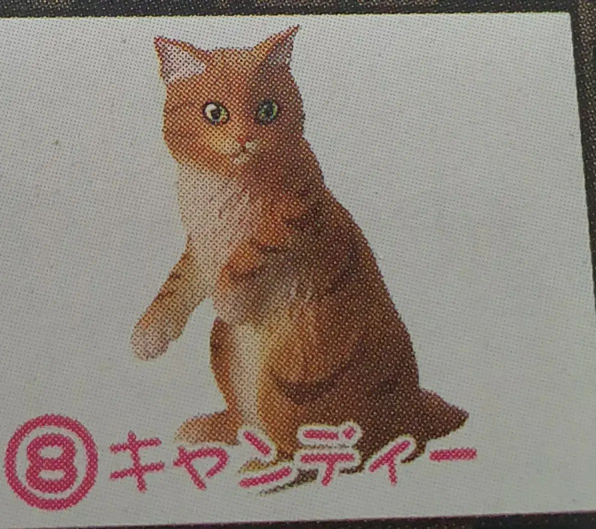 ナゴ猫 4 焦げた 8 回 ビニール未開封