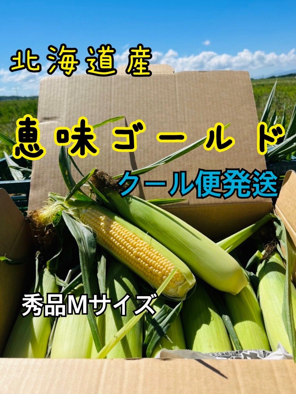 のサムネイル