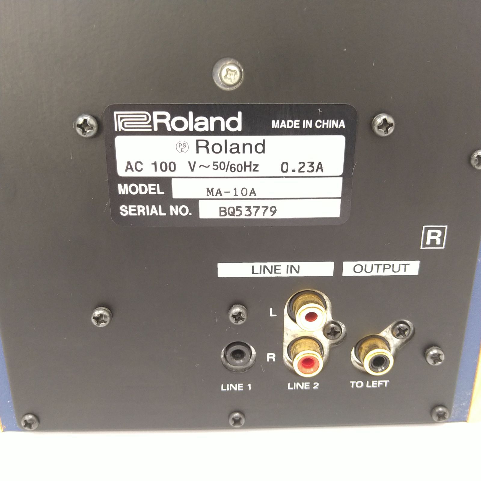 Roland - DS-50A | 24-bit Powered Monitor