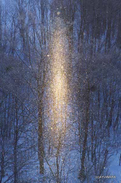 モダン アートフレーム