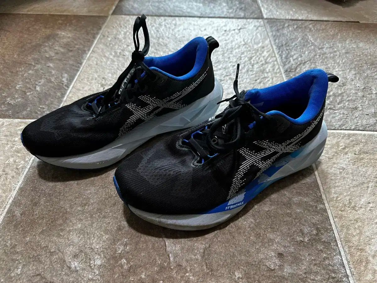 きれいめカジュアル アシックス ノヴァブラスト 5 260