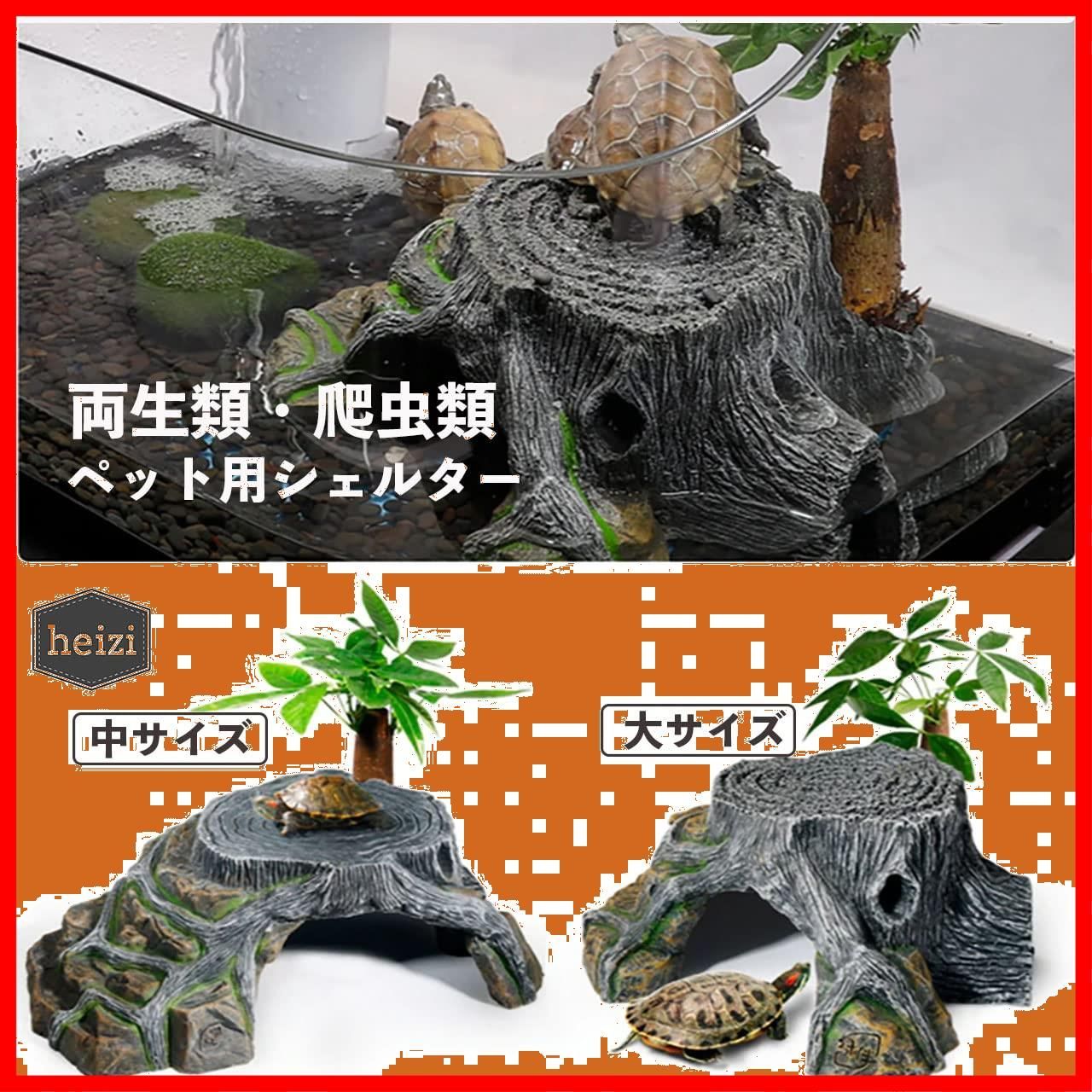 リクガメ