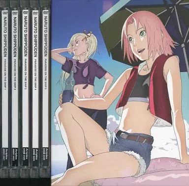 【】アニメDVD NARUTO-ナルト- 疾風伝 船上のパラダイスライフ 初回版 BOX付全5巻セット