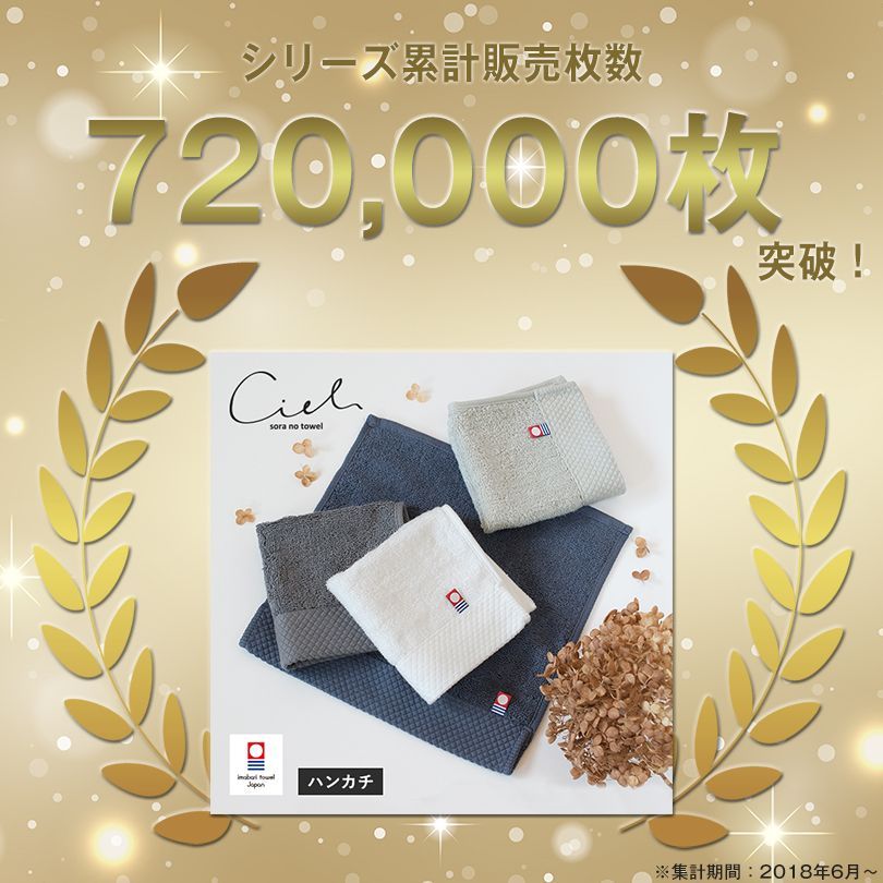 paradise 限定ハンカチ6枚セット 今治タオル ハンカチ 6枚セット シエル 送料無料 (ポスト投函