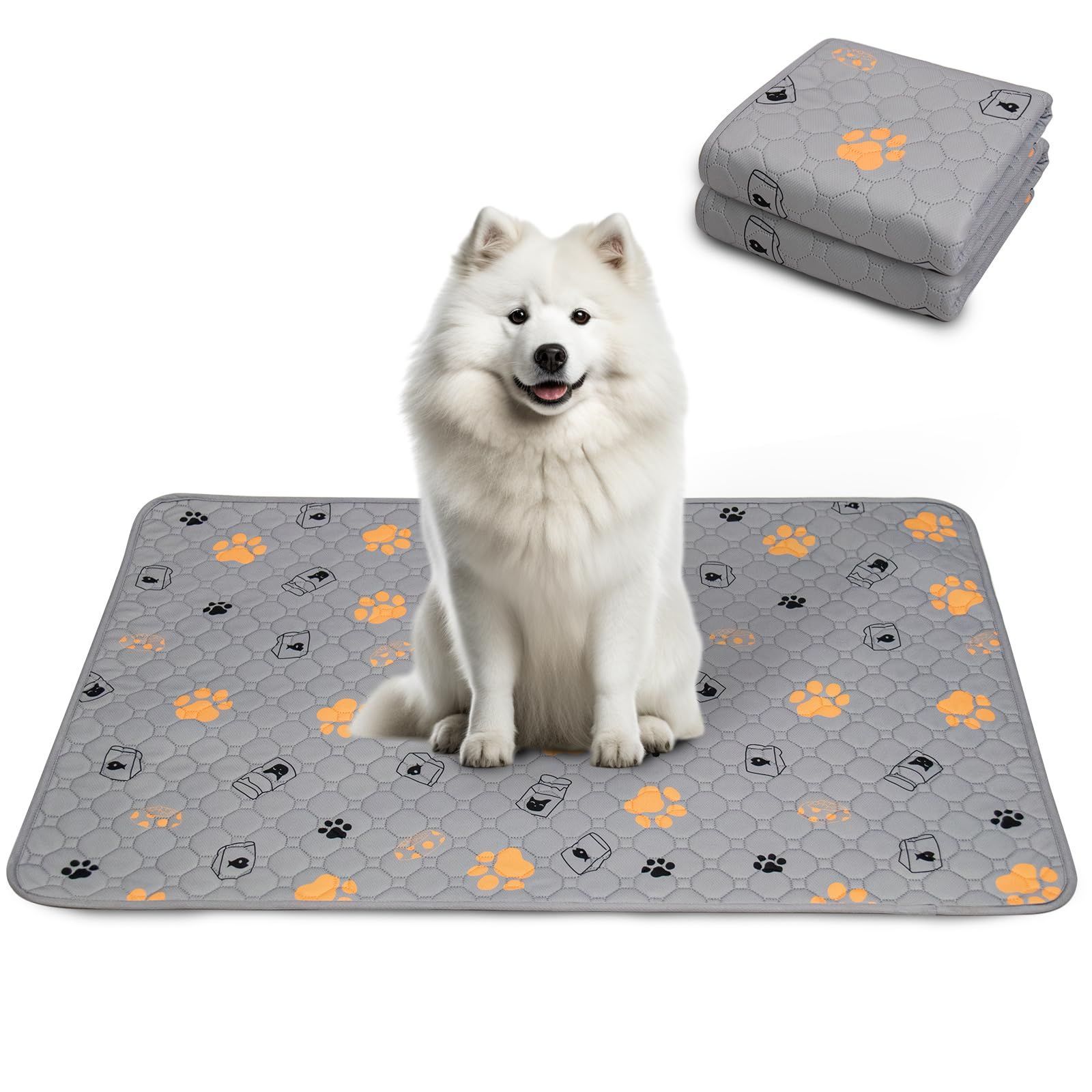 TOYRAISEビーダマン3体セットDM-01/DM-02/DM-03