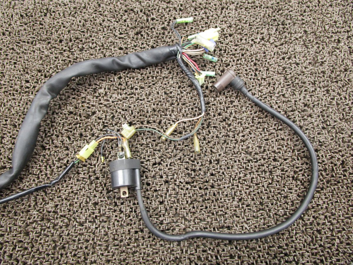 YB-1 メインハーネス △Z836 CDI レギュレター イグニッションコイル F5B ヤマハ F5B キャブ車 12V