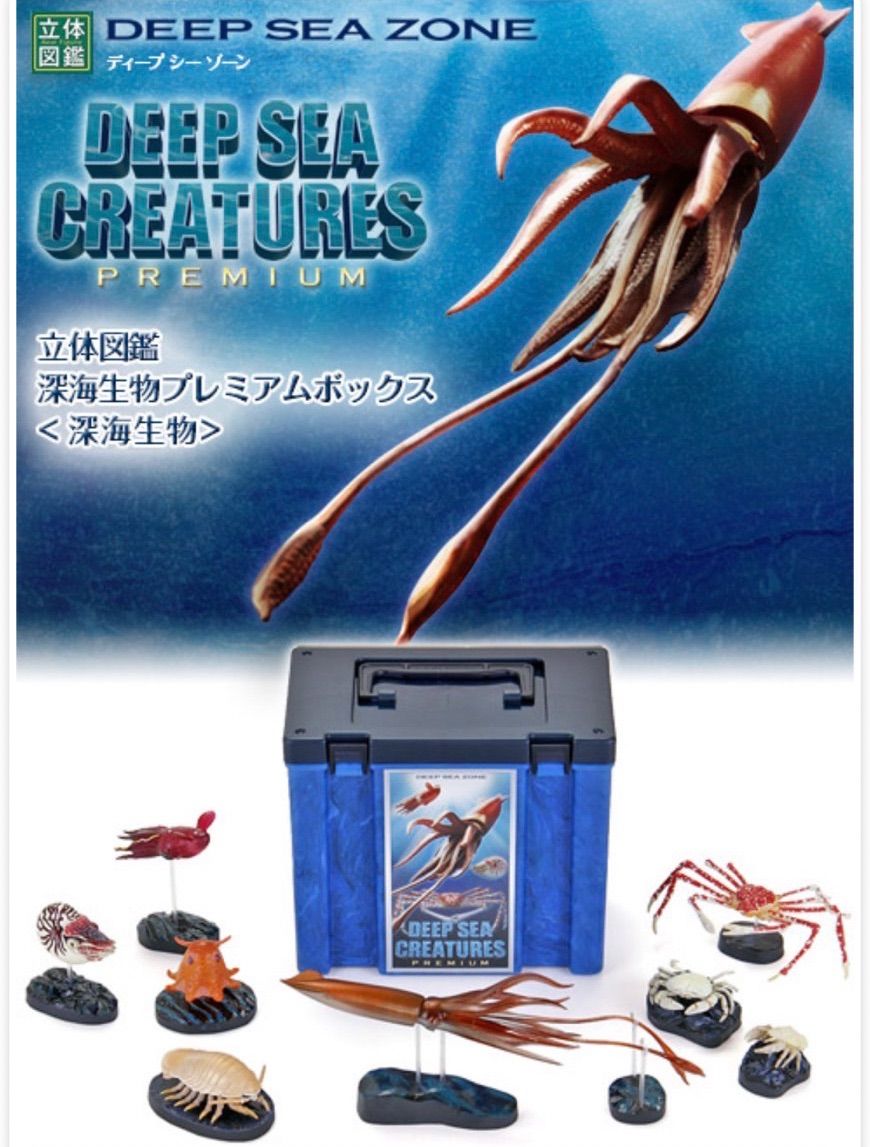 カロラータ 立体図鑑 深海生物プレミアム ボックス - メルカリ